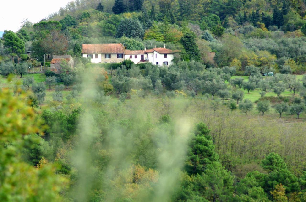Il Podere La Casina Monsummano Terme Eksteriør billede