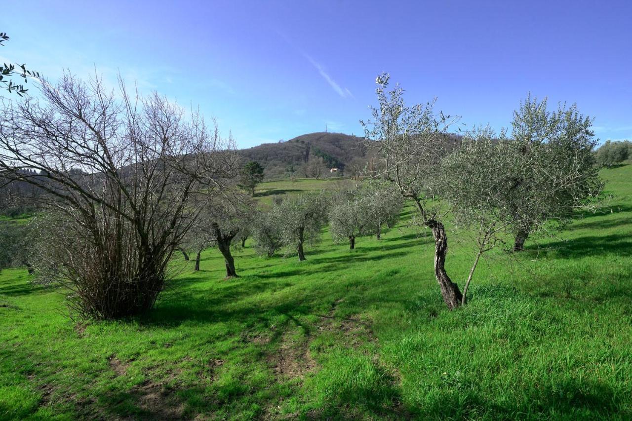 Il Podere La Casina Monsummano Terme Eksteriør billede