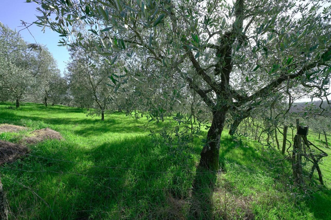 Il Podere La Casina Monsummano Terme Eksteriør billede