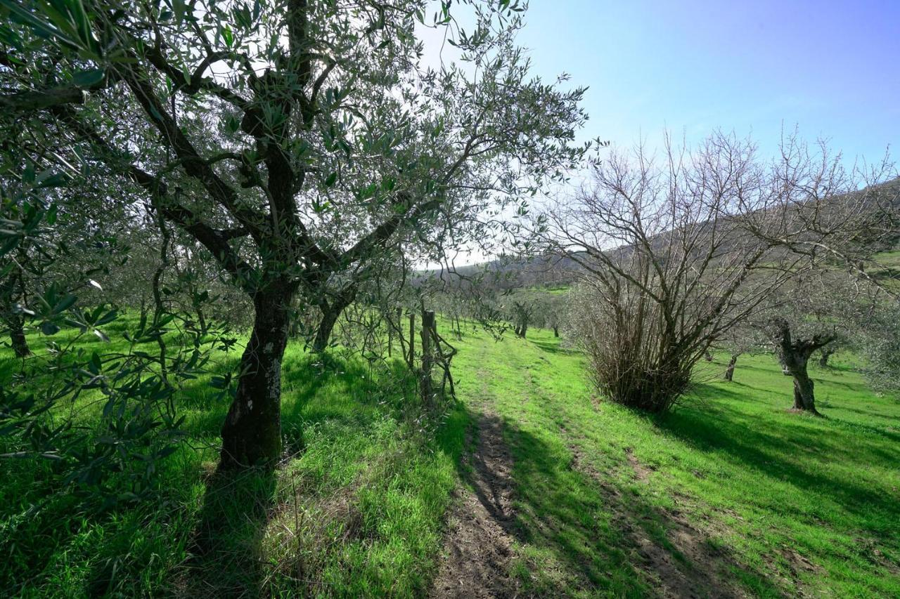 Il Podere La Casina Monsummano Terme Eksteriør billede