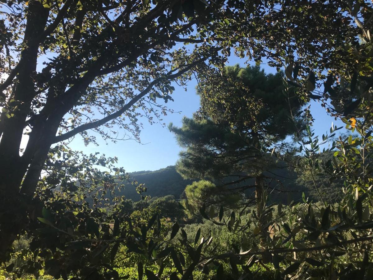 Il Podere La Casina Monsummano Terme Eksteriør billede