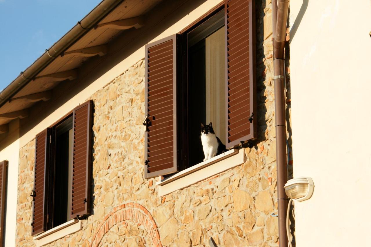 Il Podere La Casina Monsummano Terme Eksteriør billede