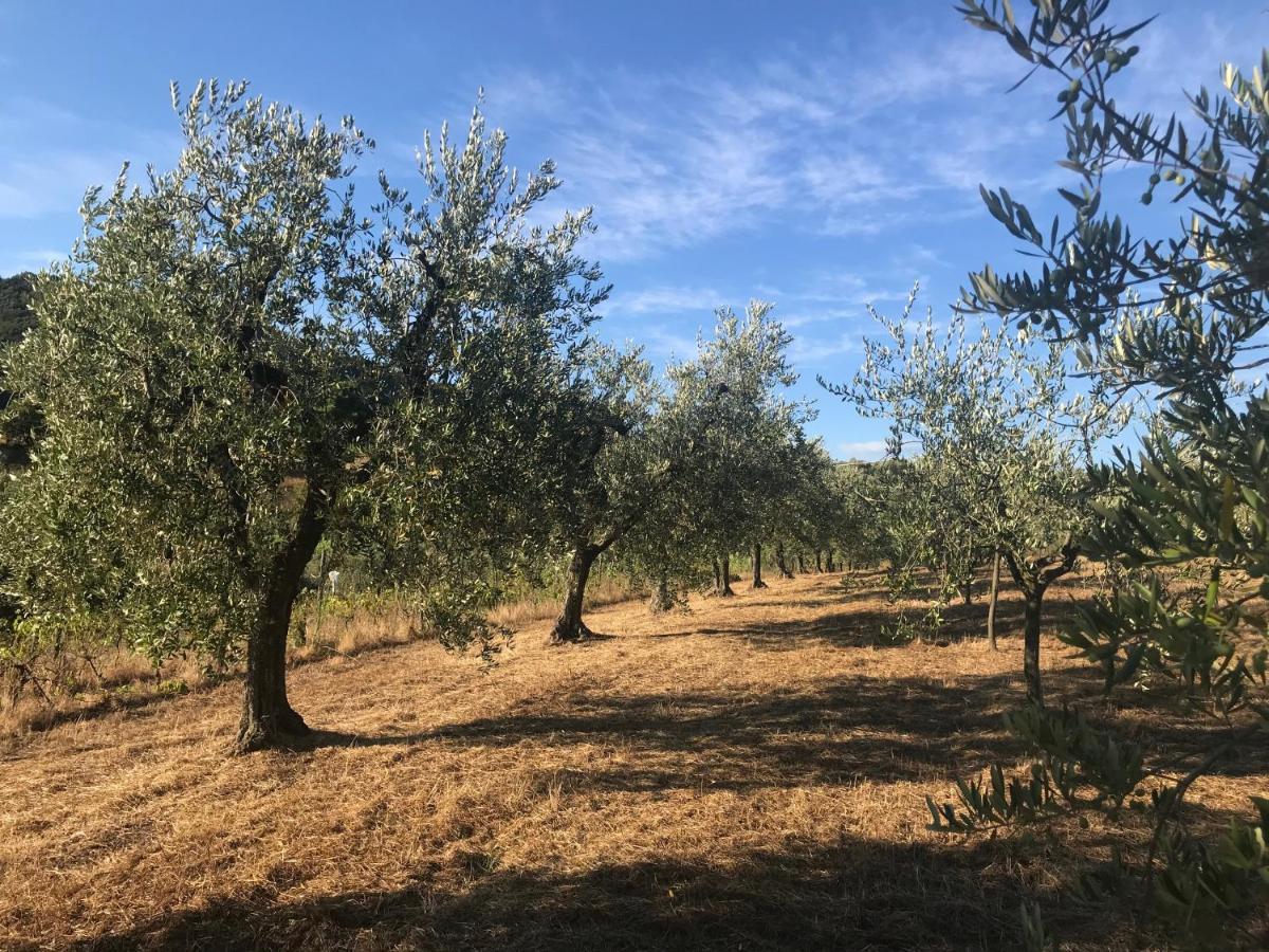 Il Podere La Casina Monsummano Terme Eksteriør billede