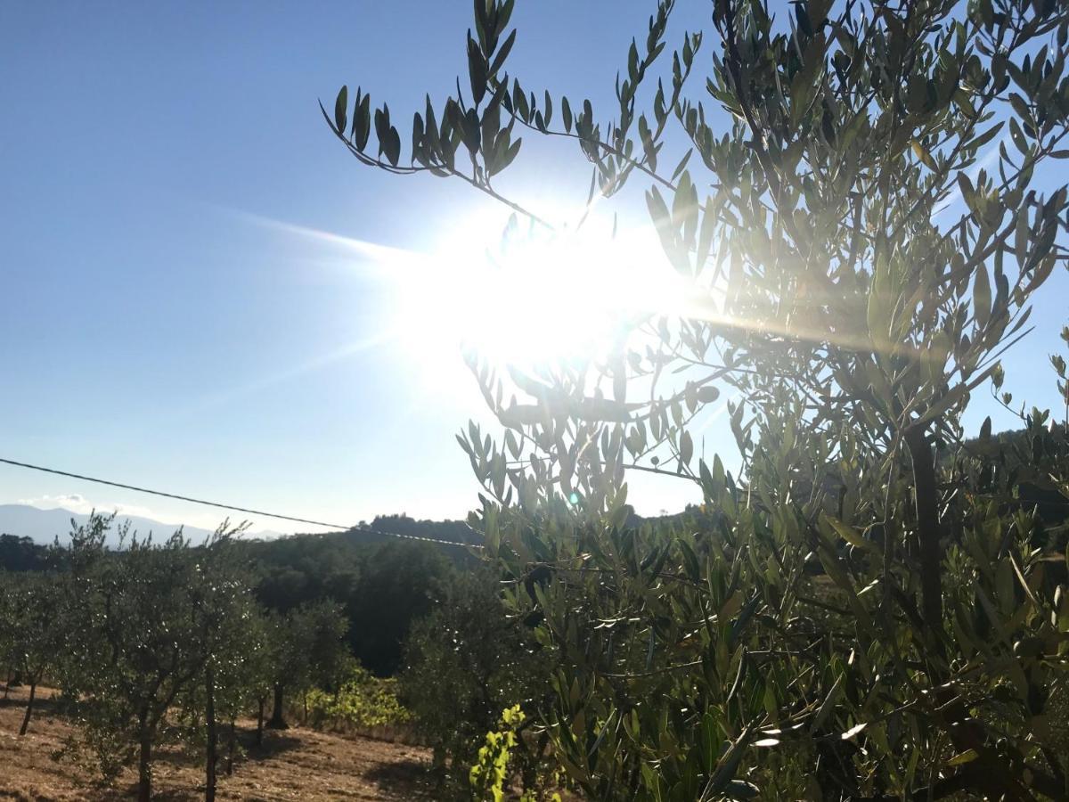 Il Podere La Casina Monsummano Terme Eksteriør billede