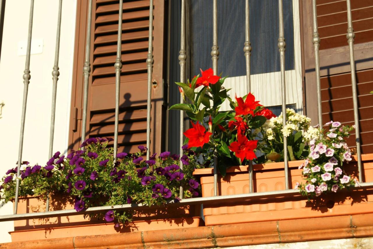 Il Podere La Casina Monsummano Terme Eksteriør billede