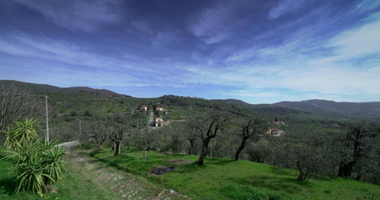 Il Podere La Casina Monsummano Terme Eksteriør billede