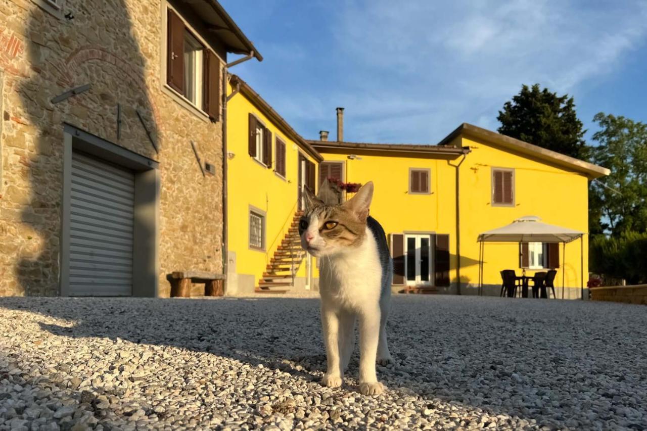 Il Podere La Casina Monsummano Terme Eksteriør billede